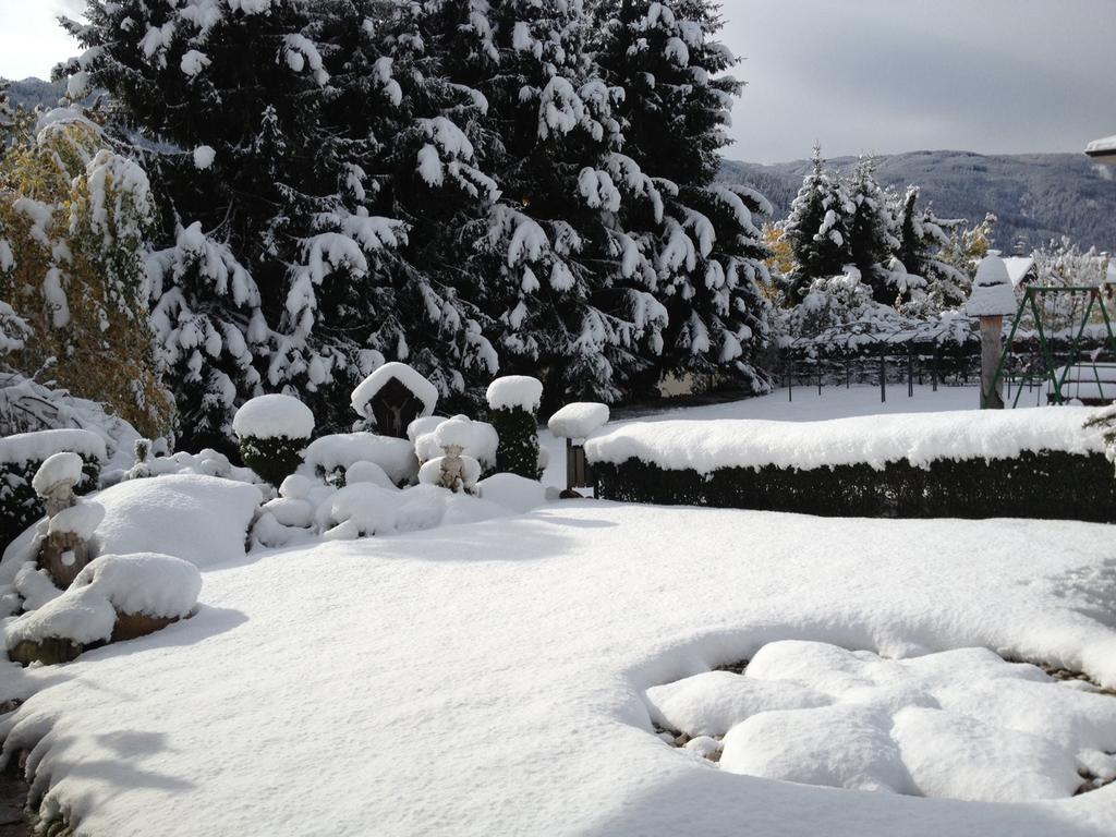 Hotel Latemar Castello-Molina di Fiemme Εξωτερικό φωτογραφία