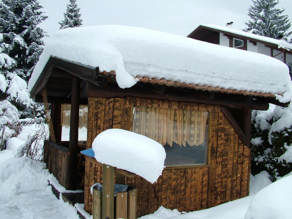 Hotel Latemar Castello-Molina di Fiemme Εξωτερικό φωτογραφία